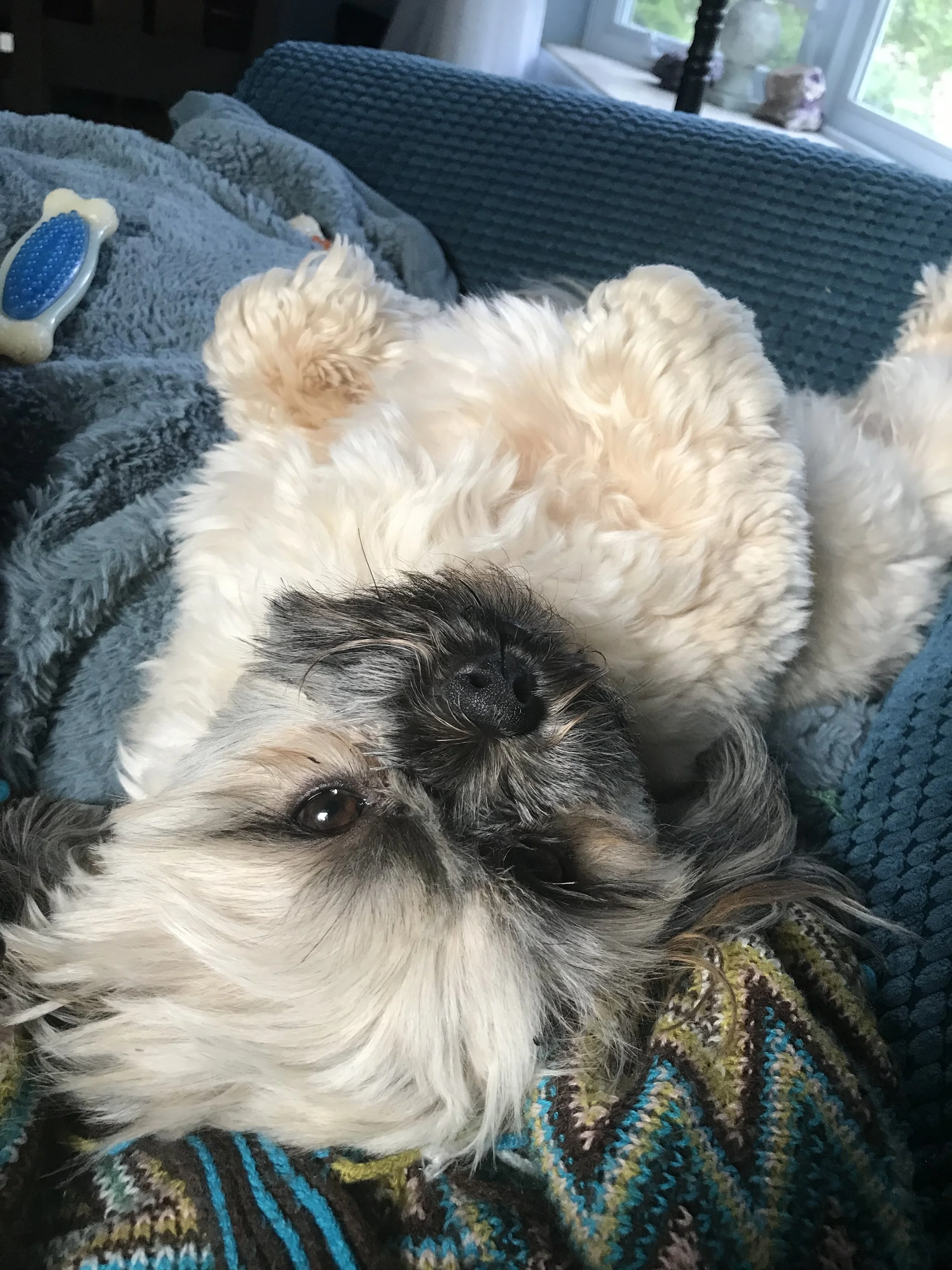 Random Ways I Flourish