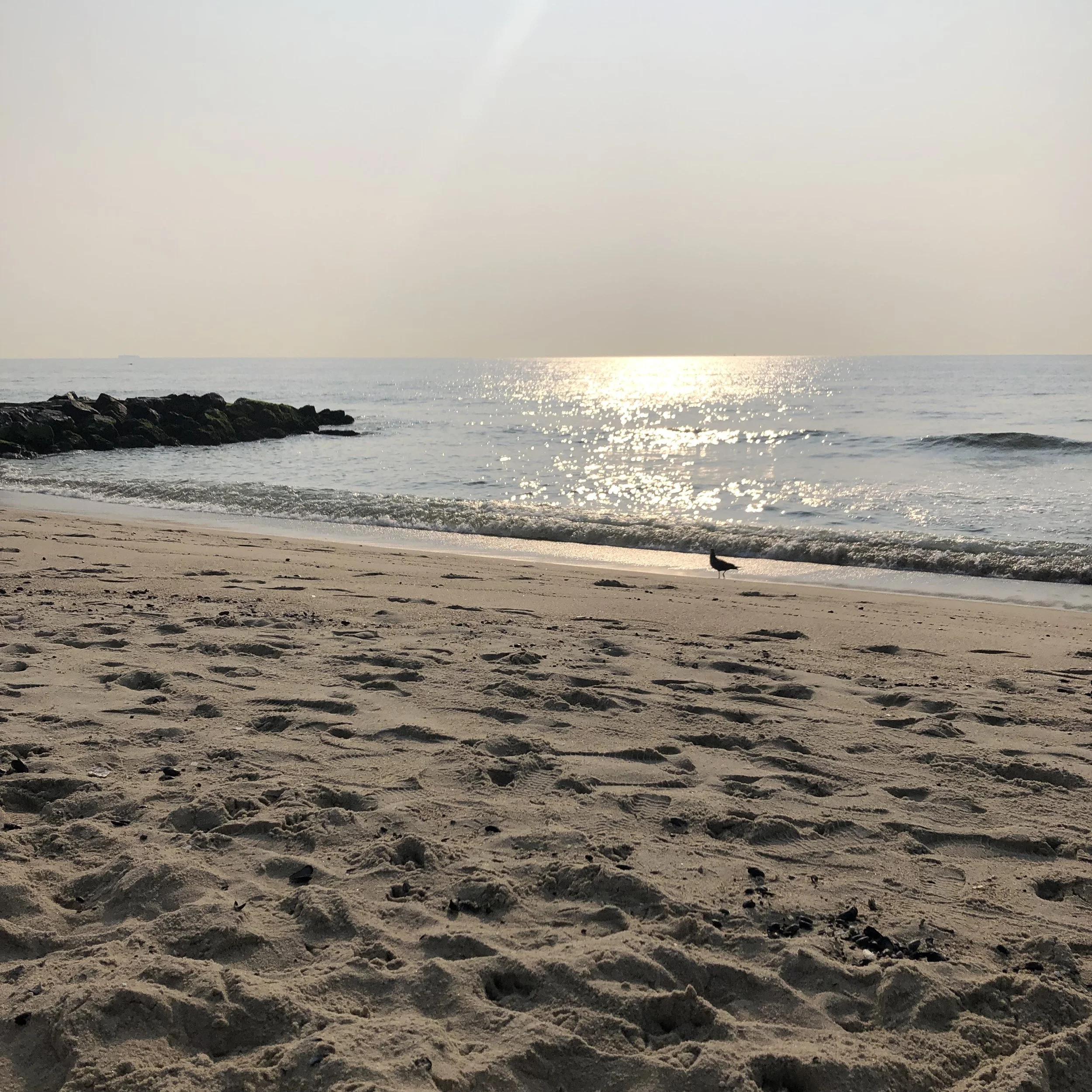 Solo by the Seashore