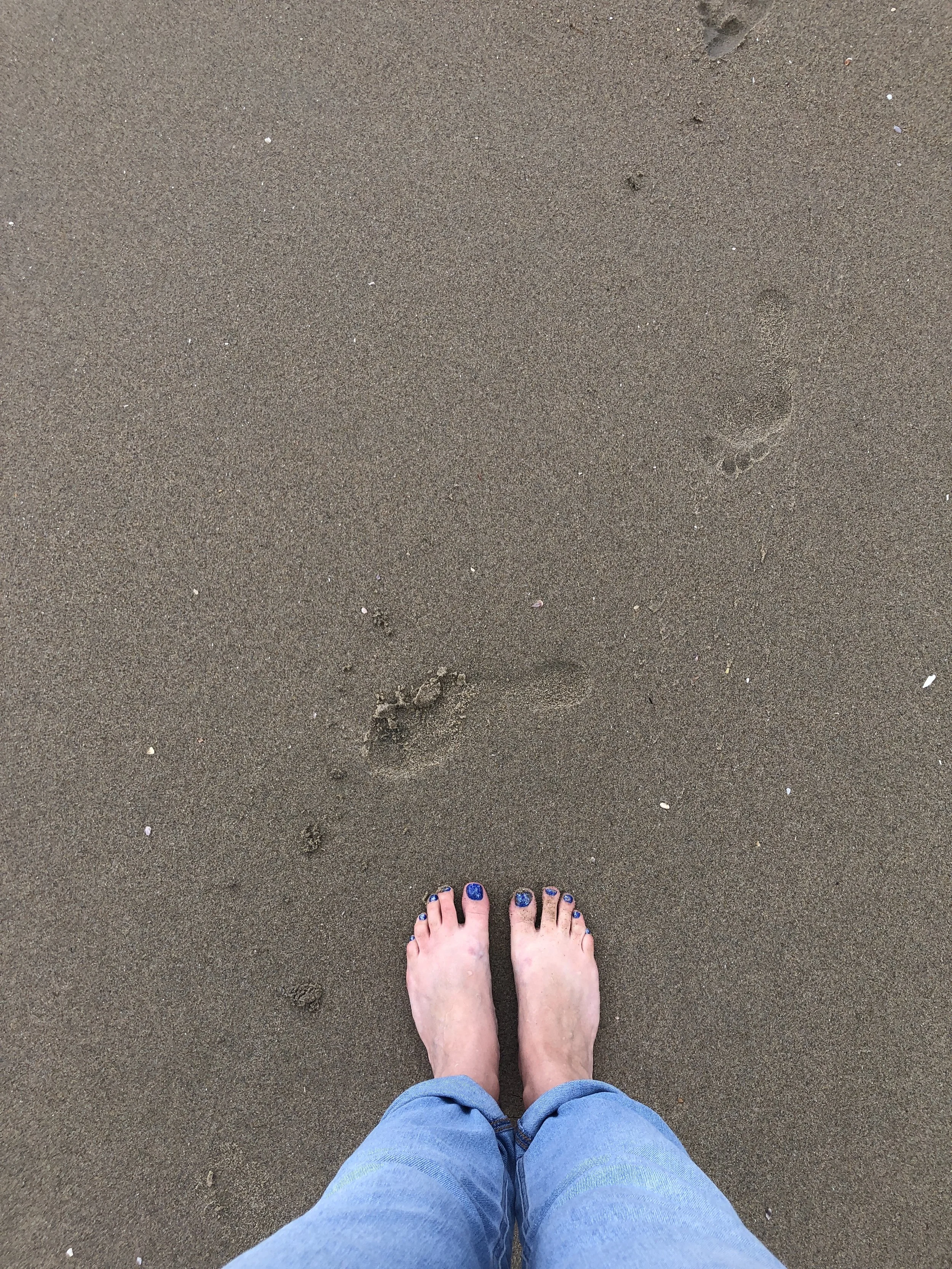 Adoption is not an option