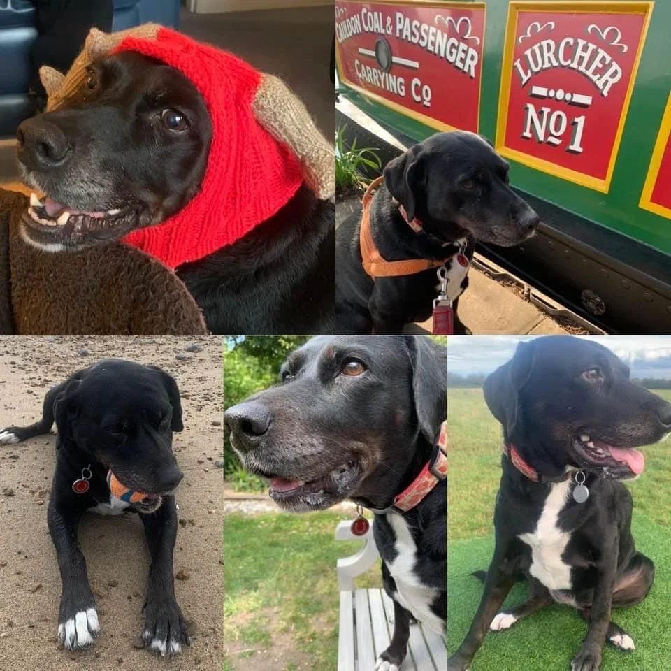 “I don’t see why not.”