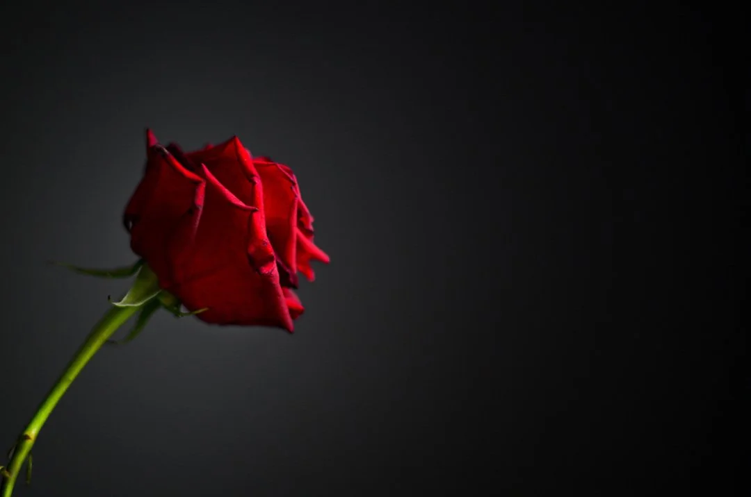 Love, here and now