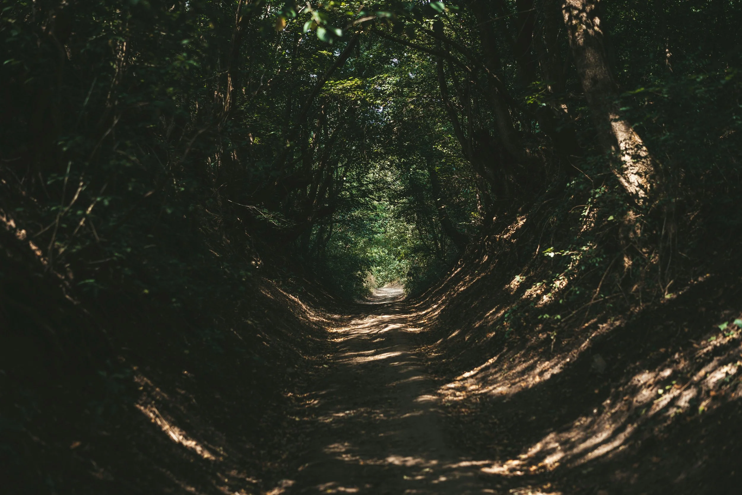 Childless Lifecycles