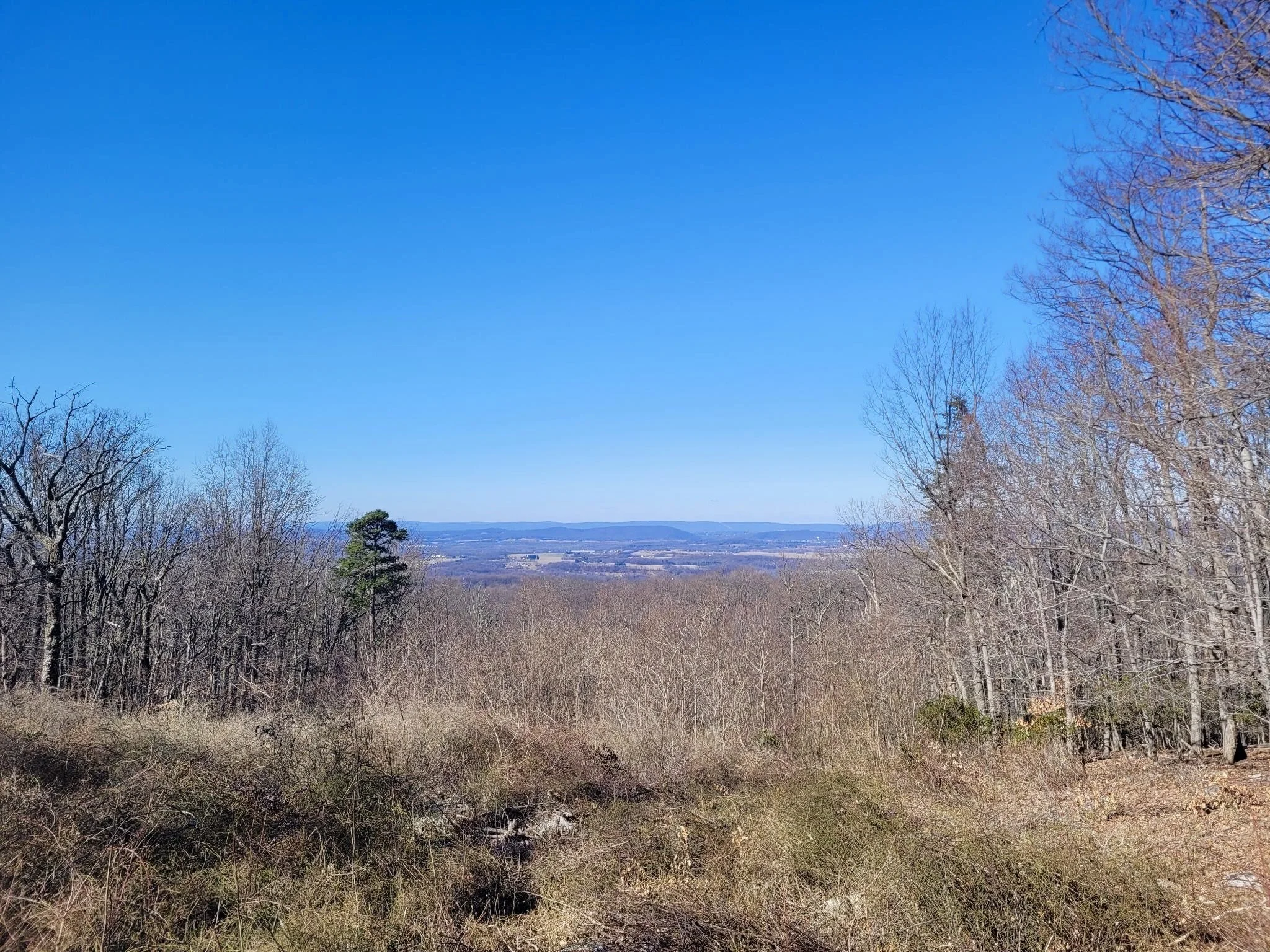 Permanent childlessness was never a choice