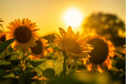 Why the Arrival of Summer Can Be a Trigger for Childless Single Women