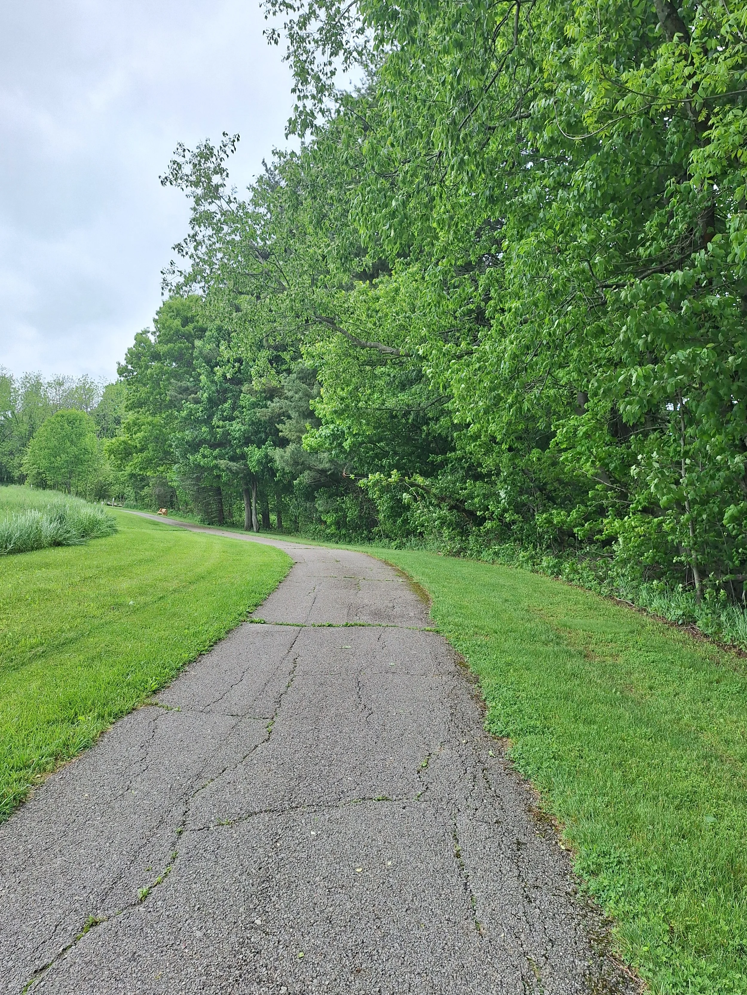 The Long Road