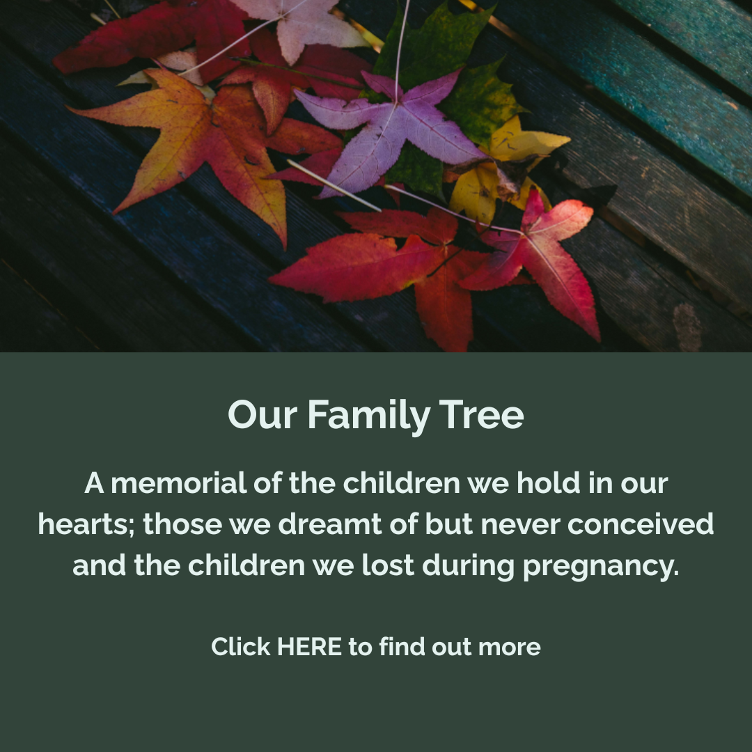 Our Family Tree - buttons.png