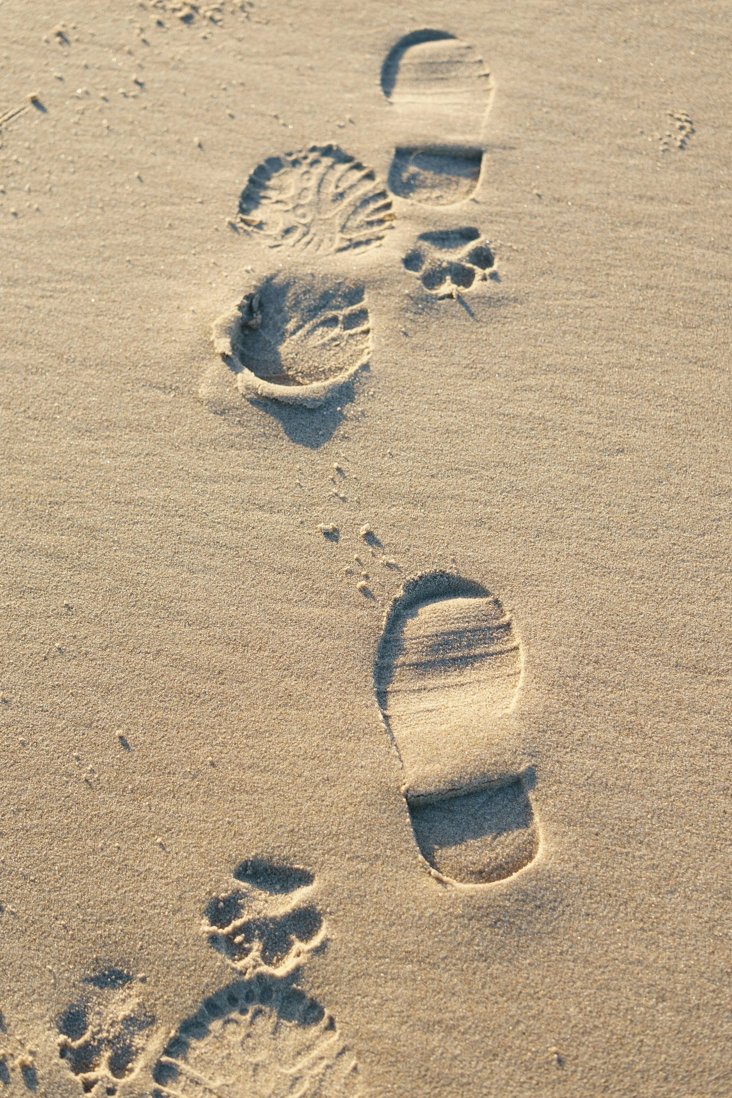 All About My Childless Life…