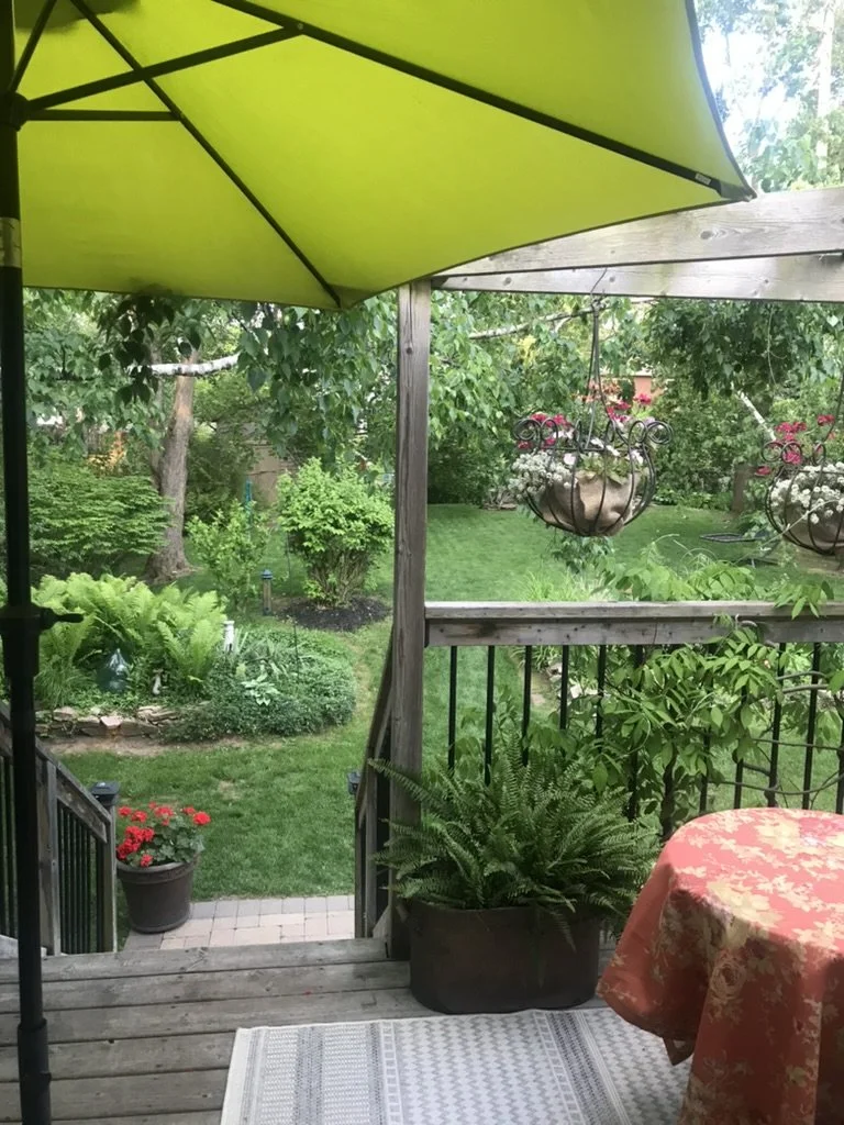 The Backyard