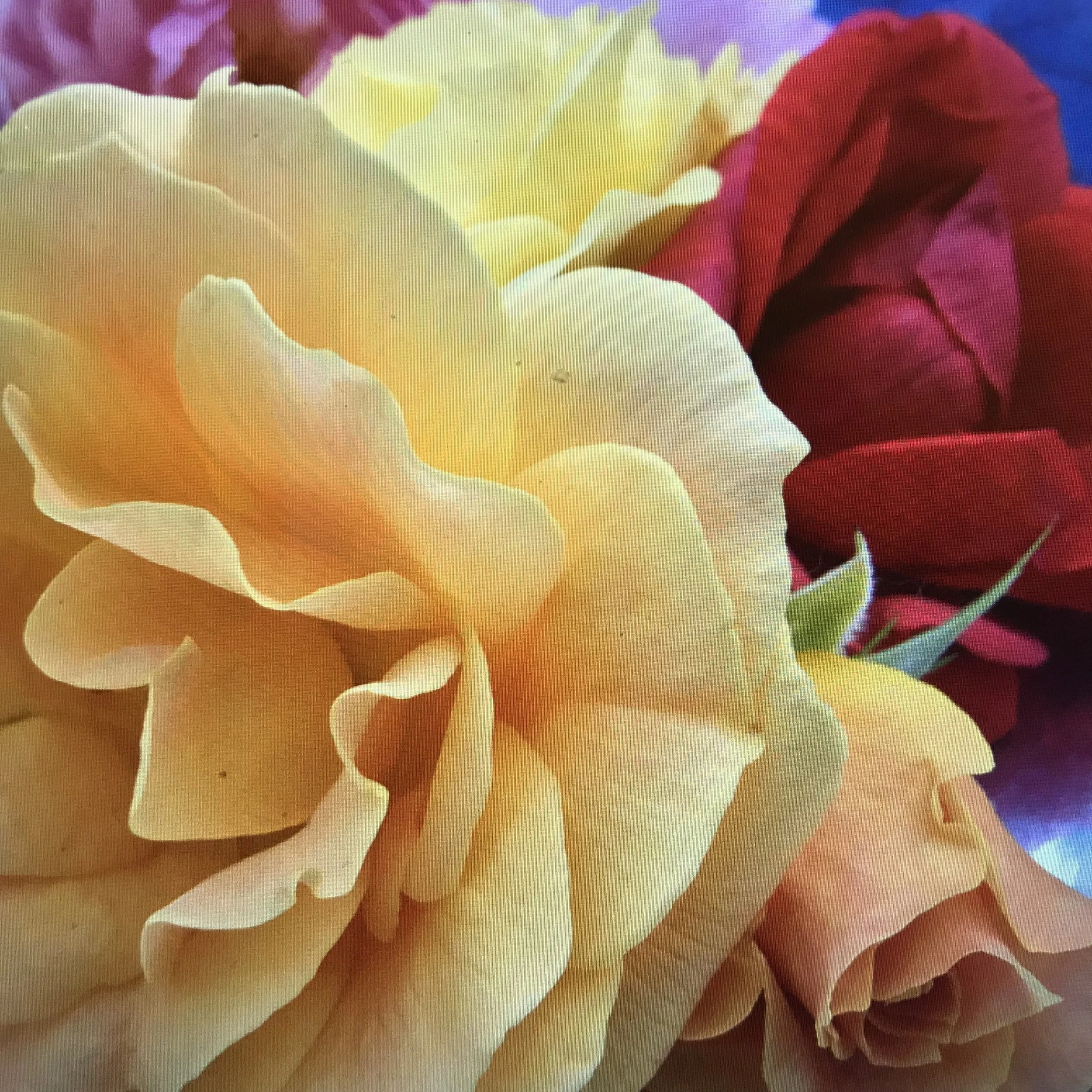 A Mother's Day