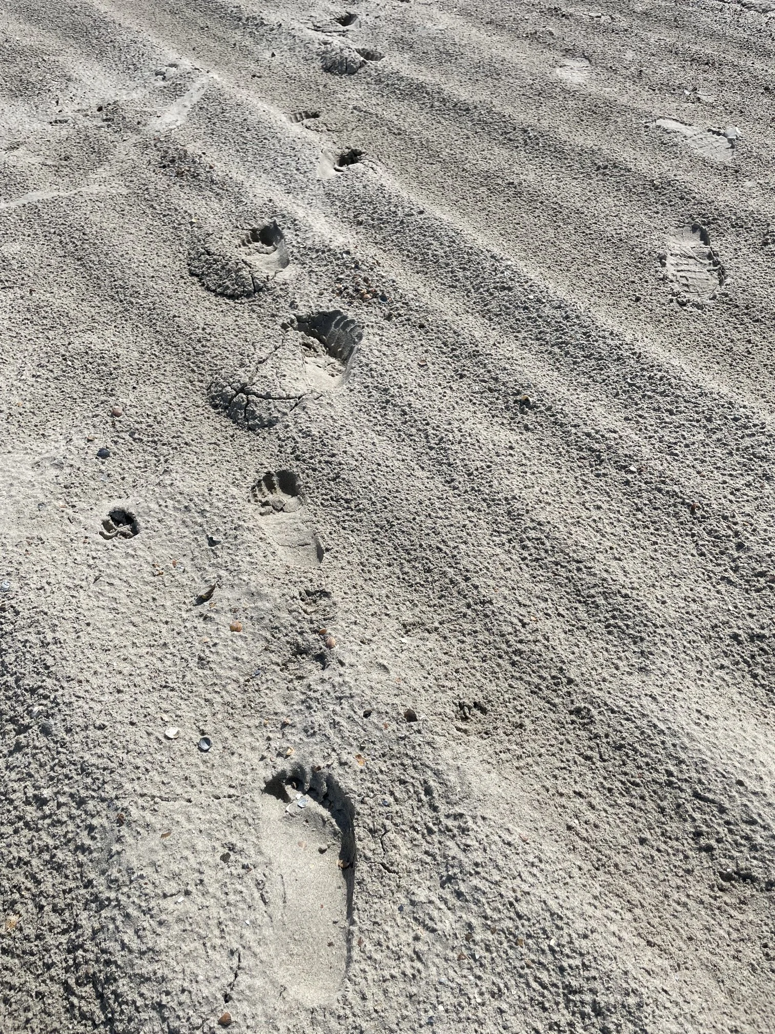 Leaving my own footprints