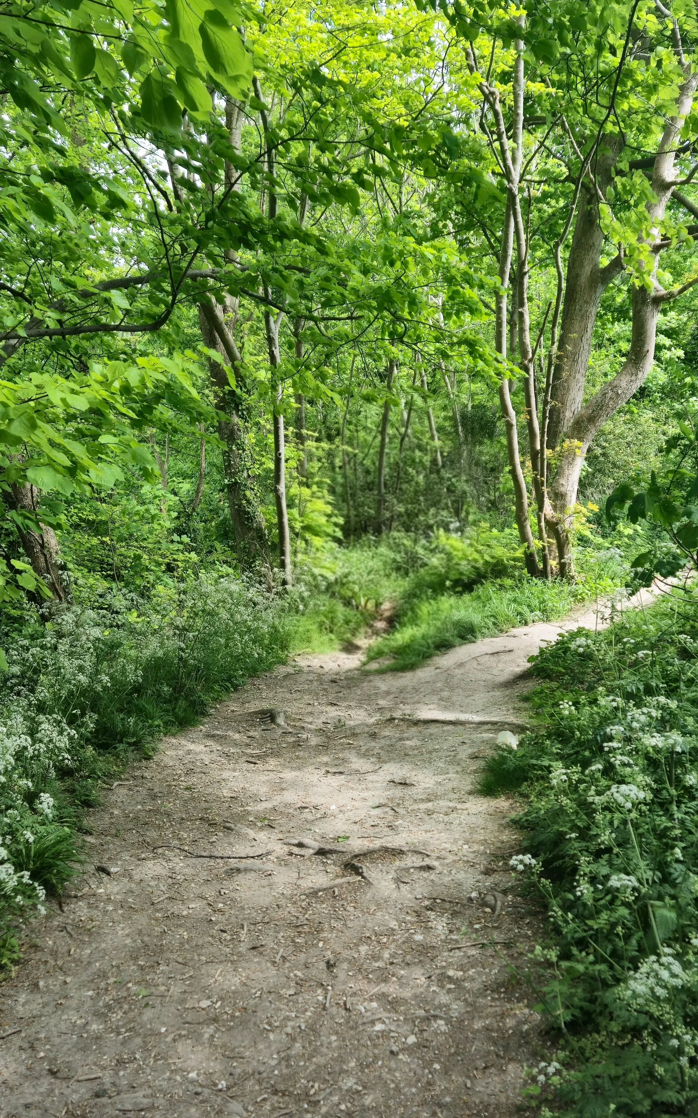 On this path..