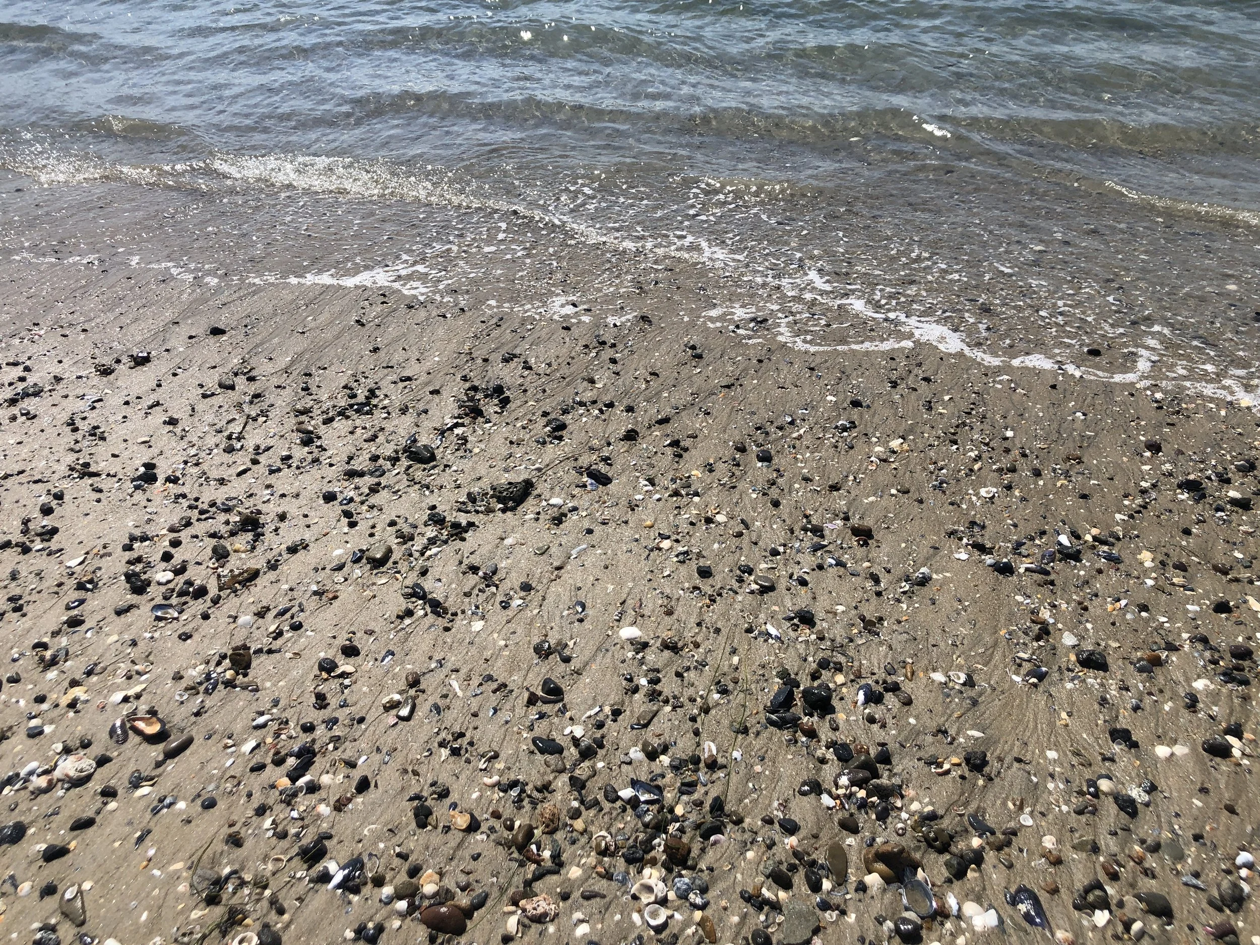 Stones that mark the path