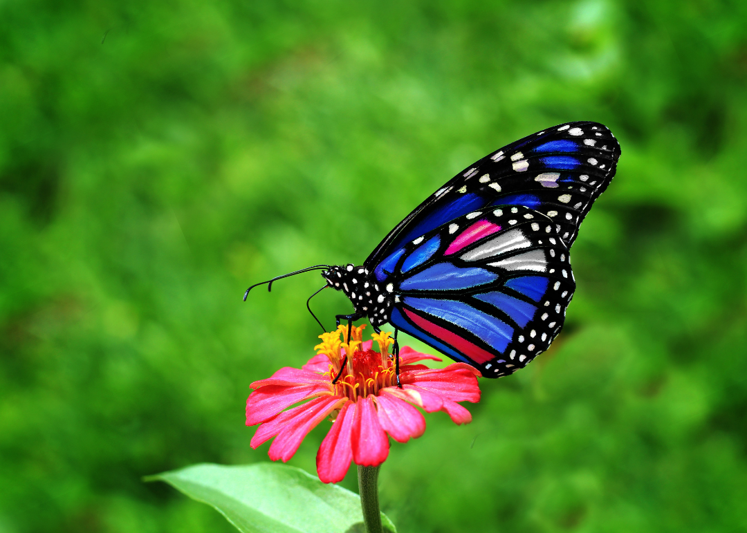 Childless, Neurodivergent, And Finally Understanding Myself