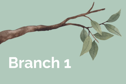 family+tree+branch1.png