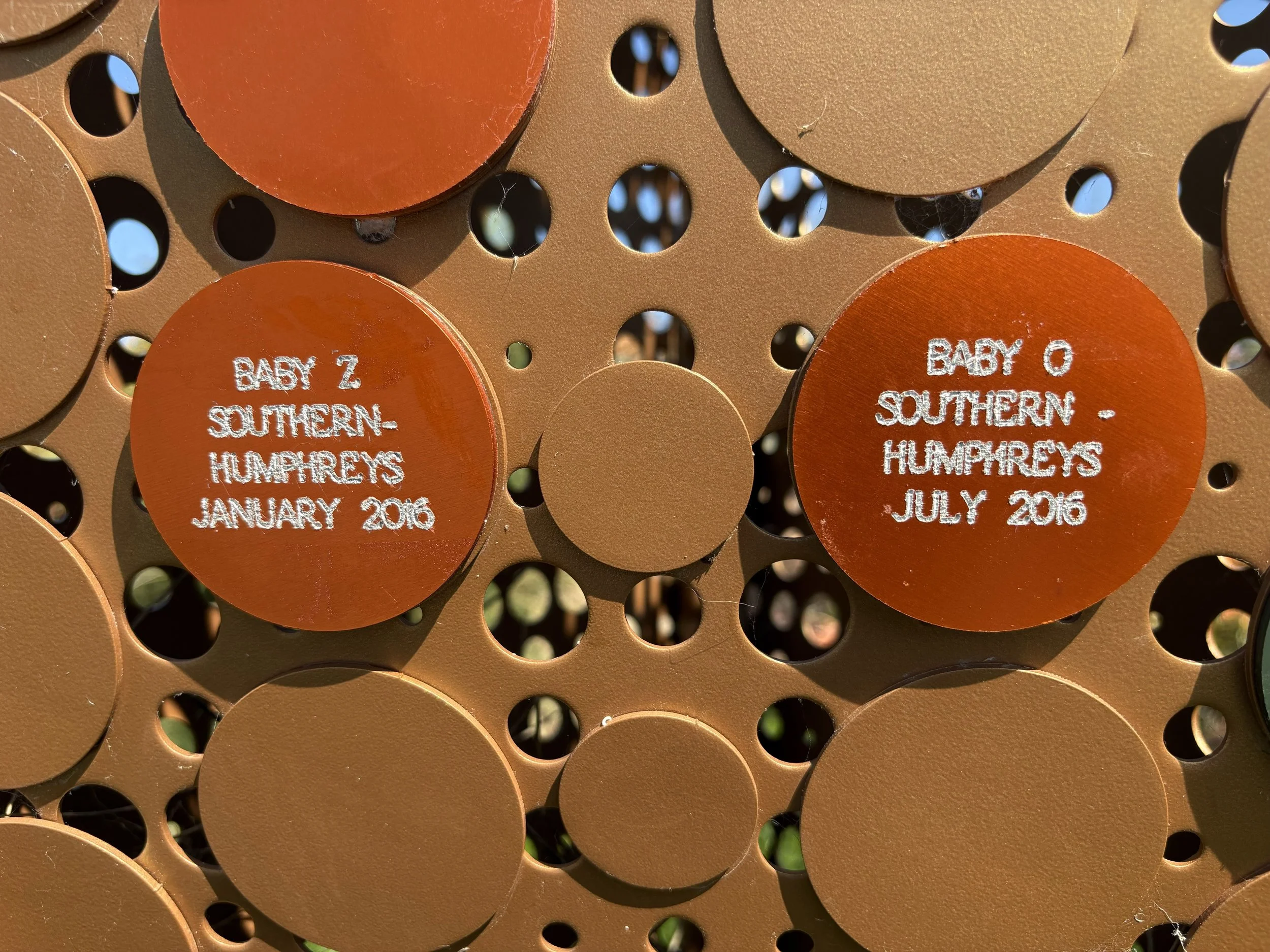 11.jpeg