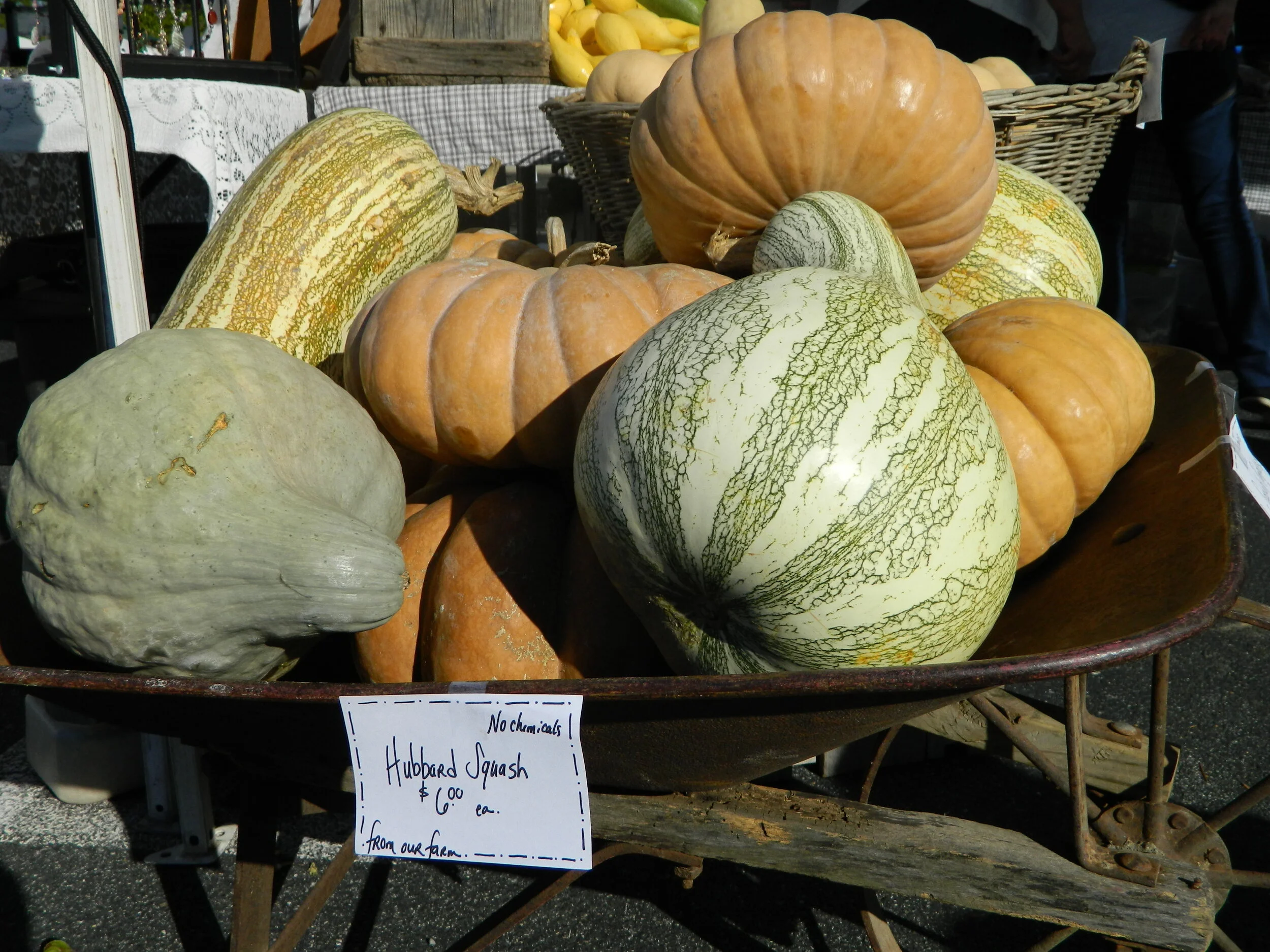 DSCN0971.JPG