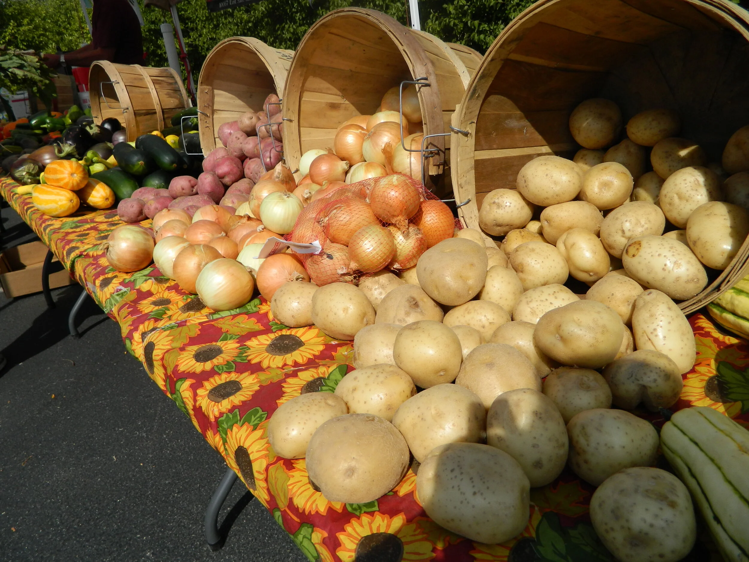 DSCN0926.JPG