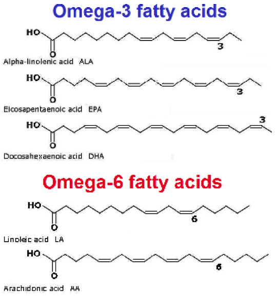 Источники омега 9 жирных кислот тест. Омега 3 жирные кислоты формула. Омега-3 и Омега-6 жирные кислоты биохимия. Омега 6 жирные кислоты. Омега 6 жирные кислоты формулы.