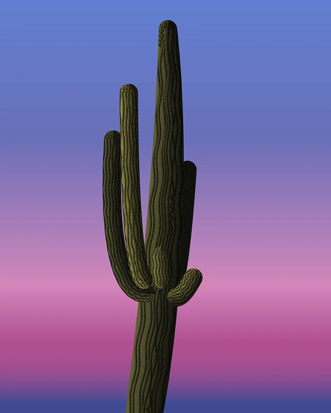 idkcactus.jpg