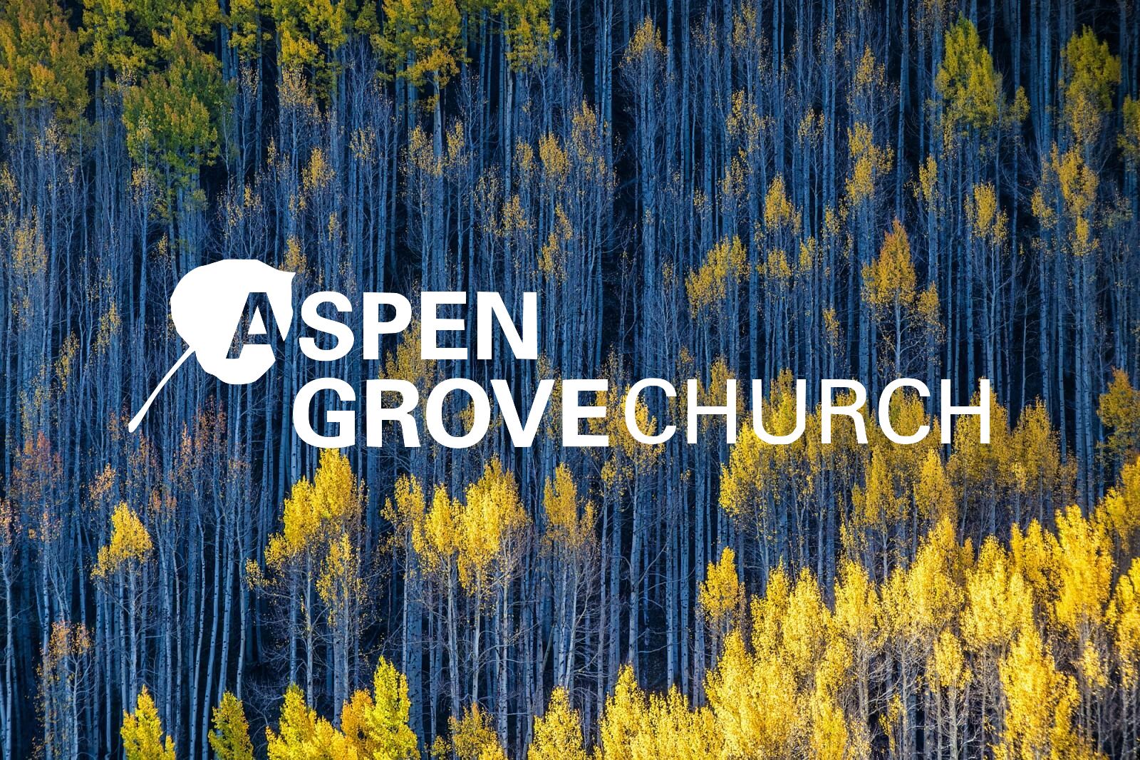 aspens.jpg