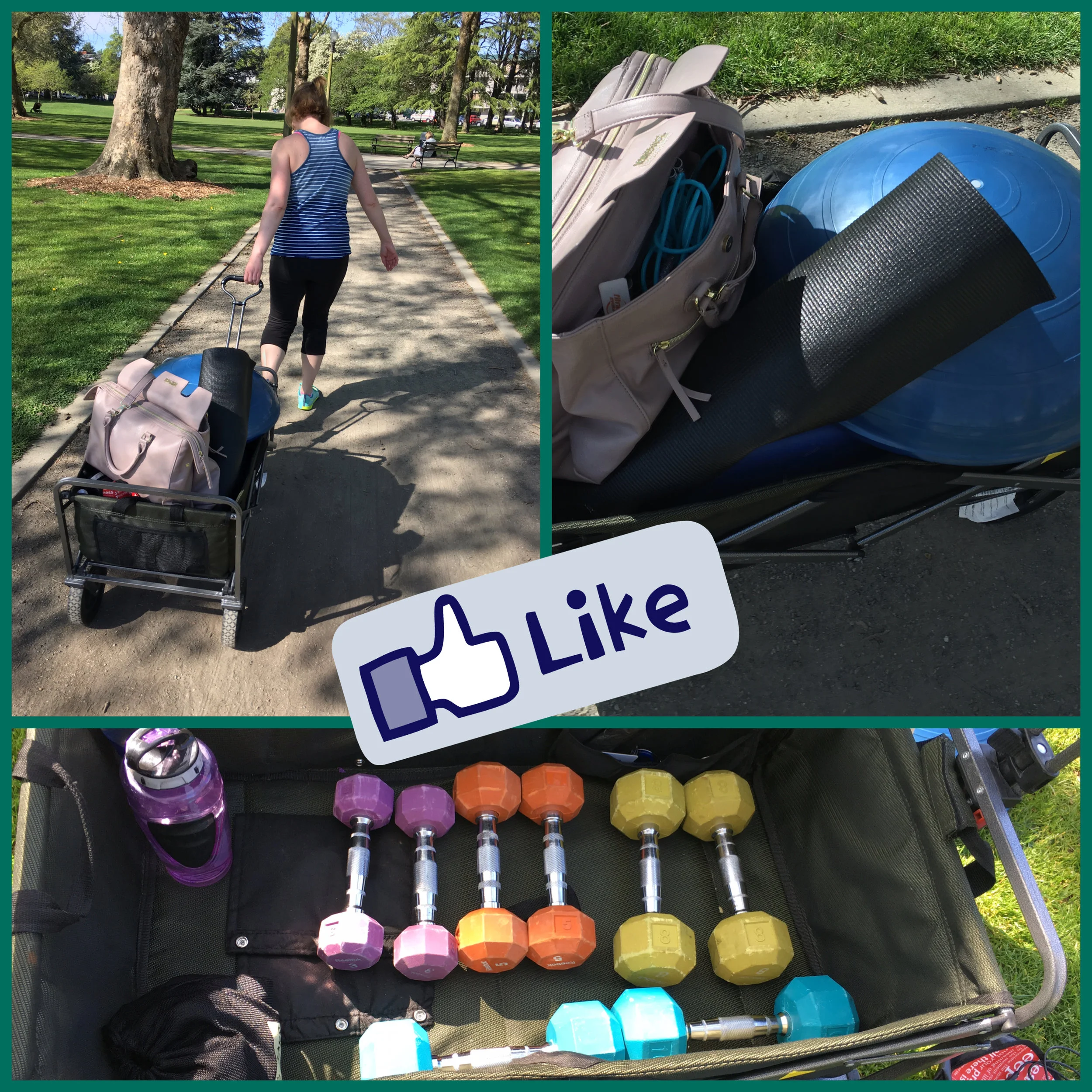  It was a beautiful day so we hauled everything outside! 