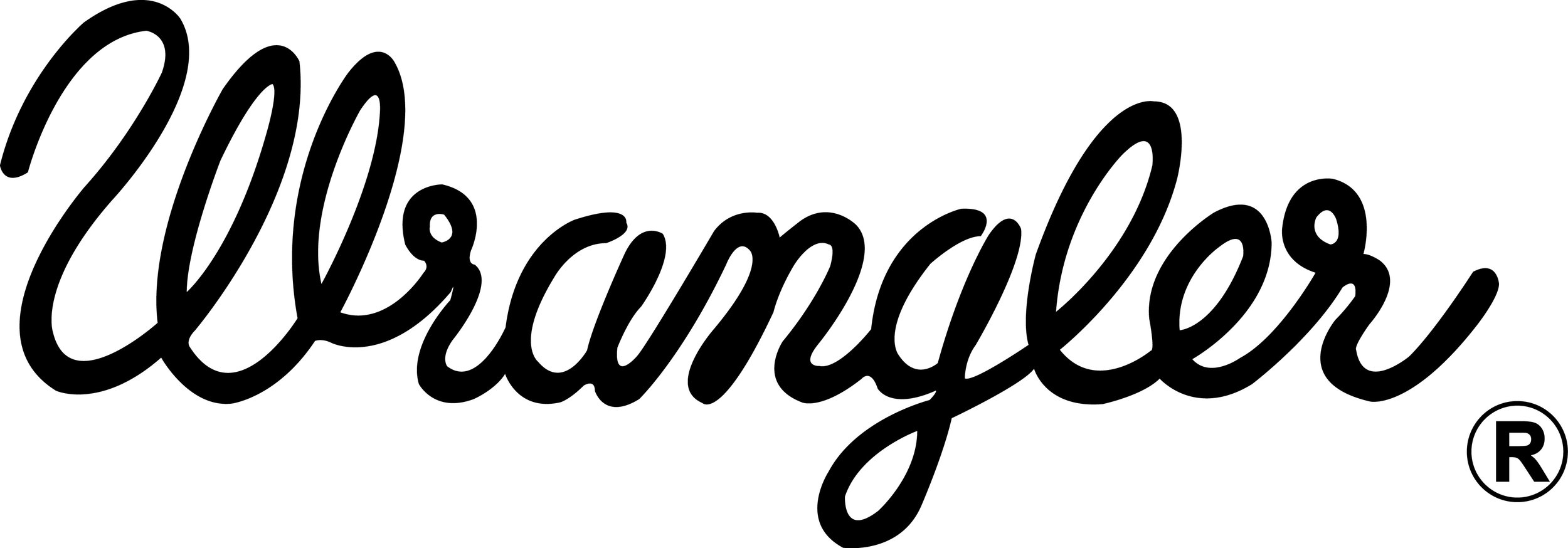 wrangler-rope-logo-latest.jpg