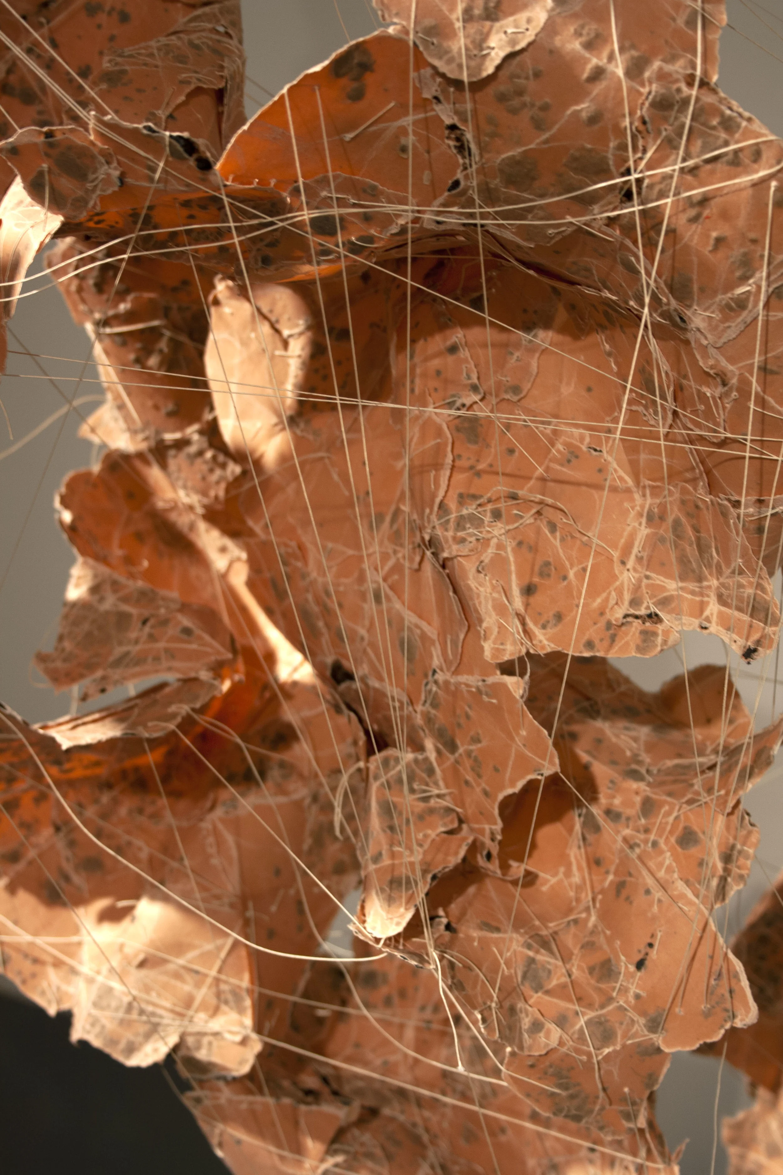 detail.jpg