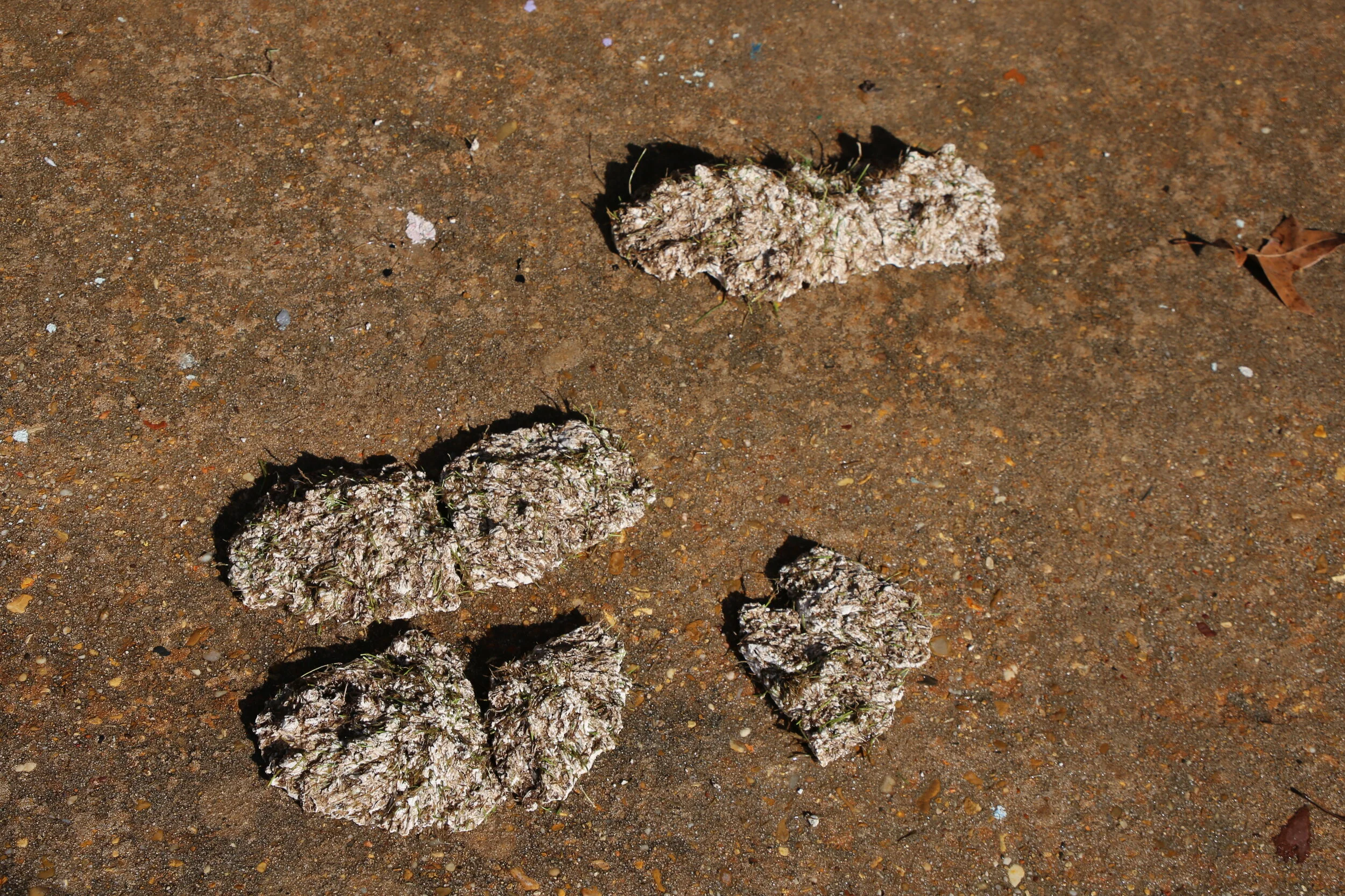  Samples of plaster castings.  