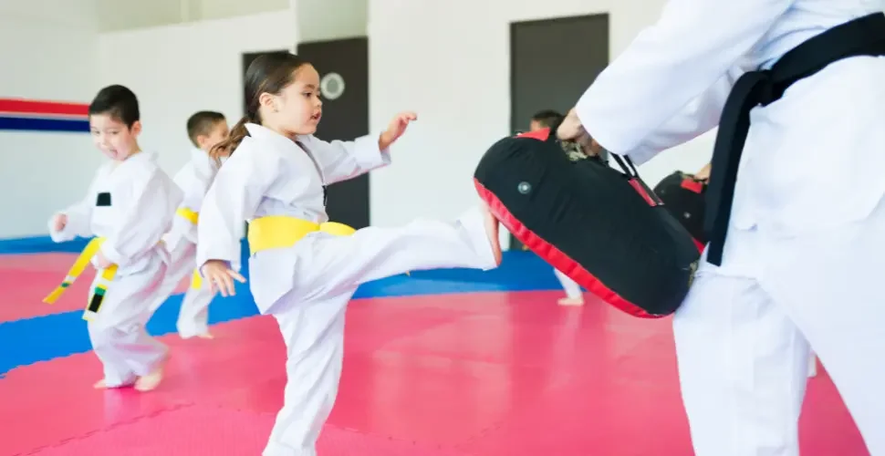 Taekwondo children's classes