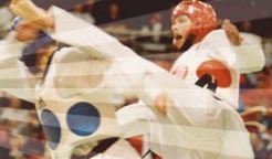 banner.jpeg