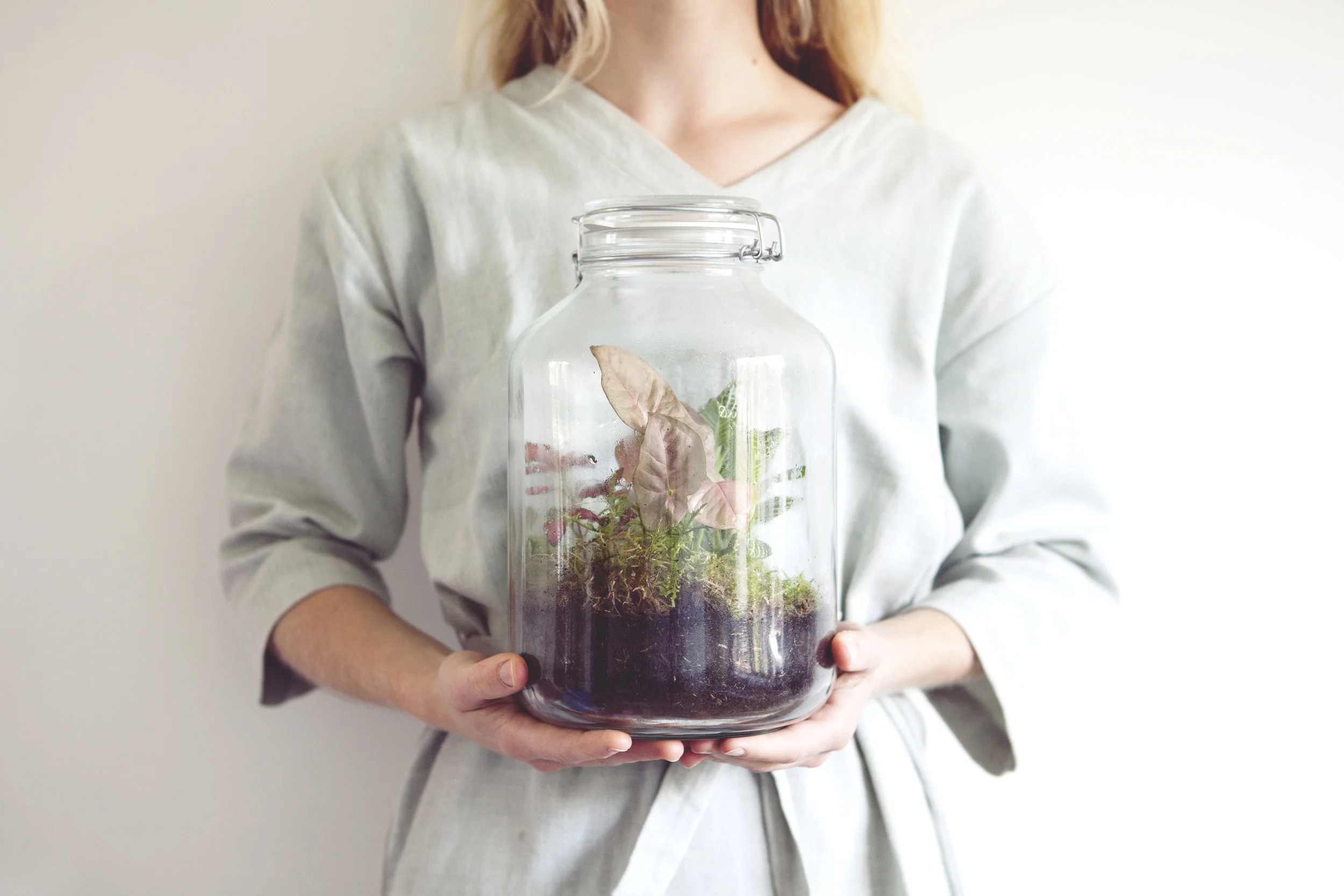Calathea stekken: stappenplan + video  Mama Botanica