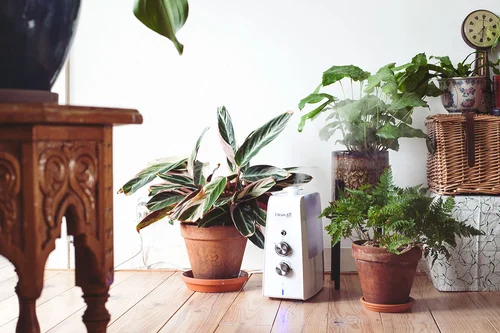 De Beste Luchtbevochtigers Voor Je Planten Mama Botanica