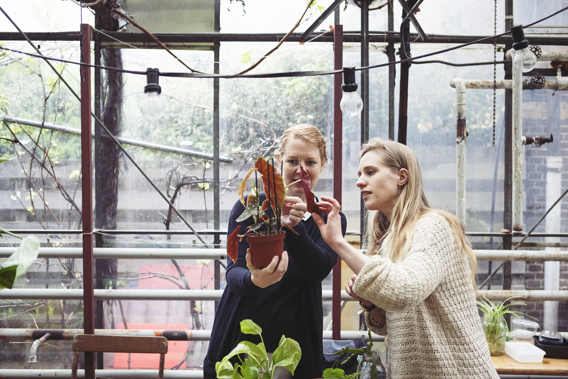 Stekjes Workshop Mama Botanica_10.jpg