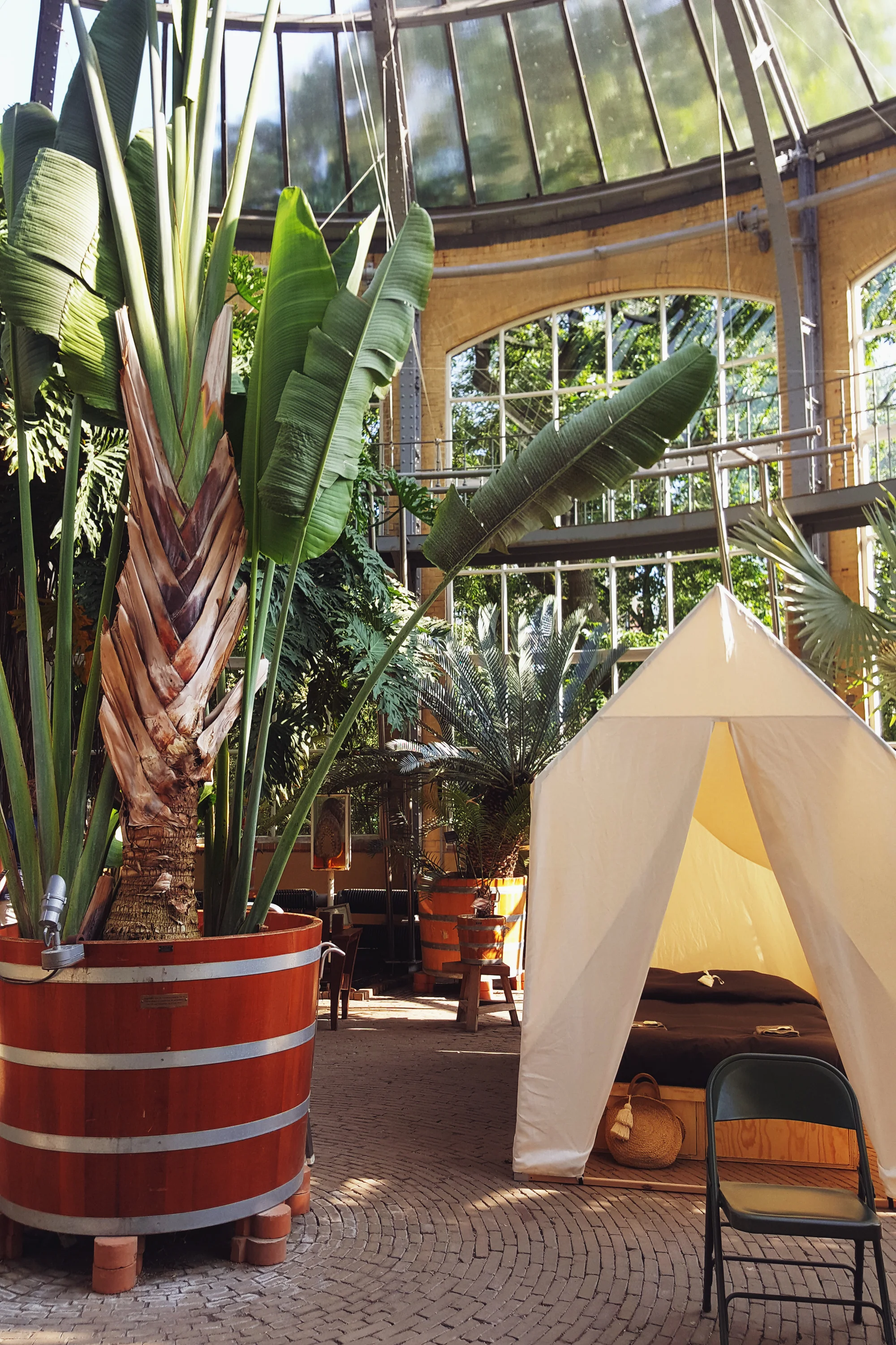 Hortus Botanicus Mama Botanica_01b.jpg