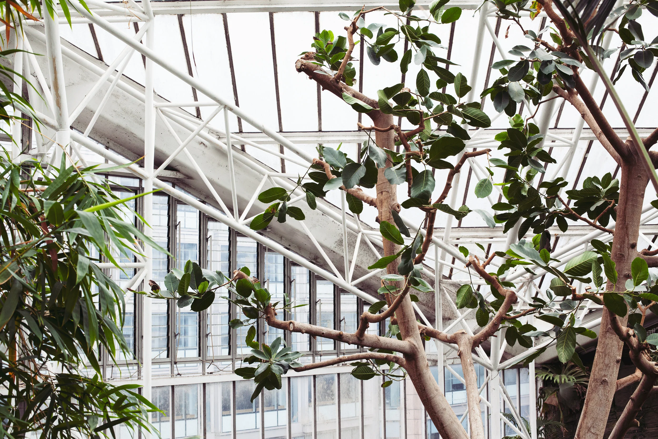 Barbican Conservatory Mama Botanica_16.jpg