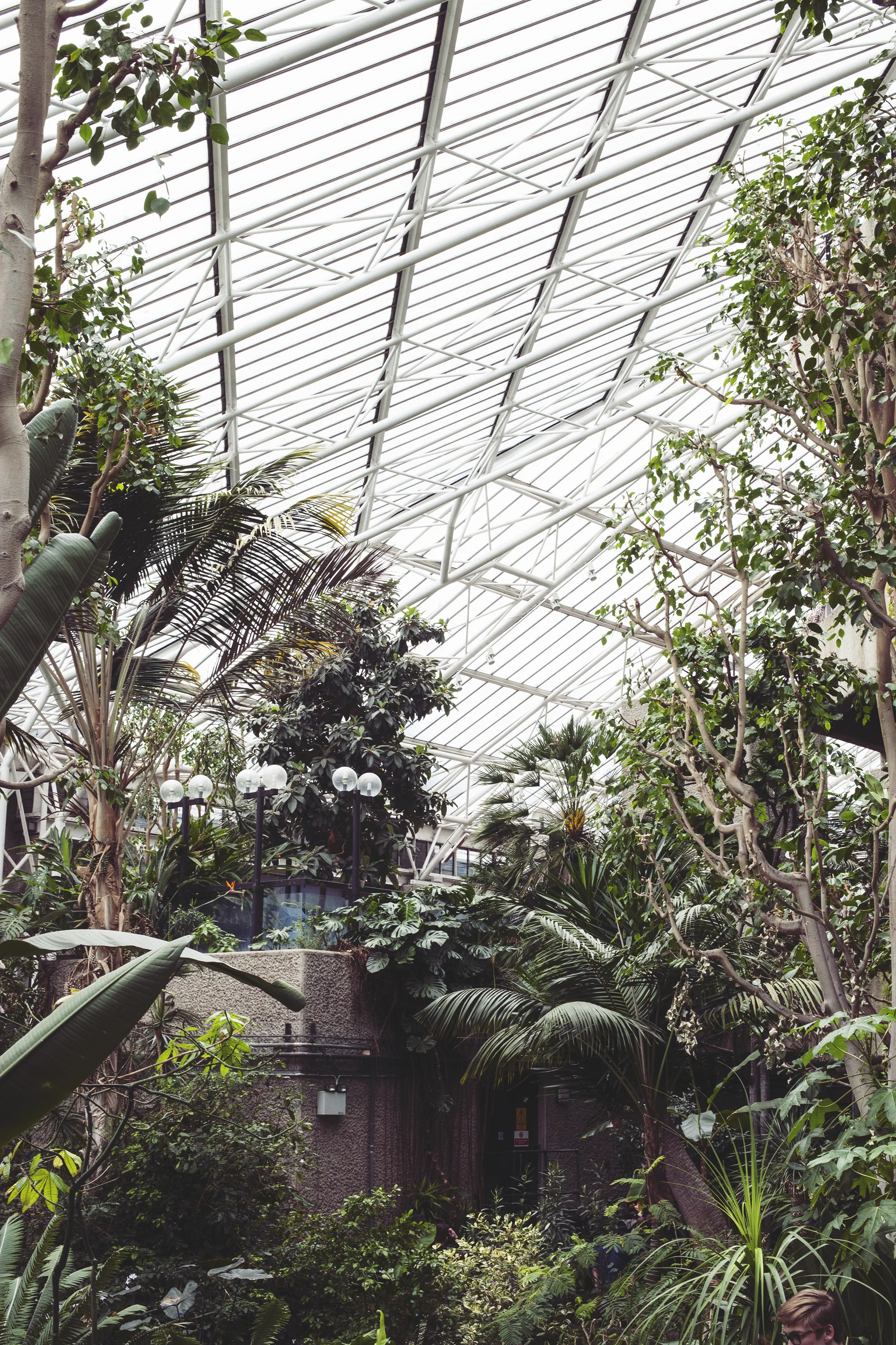 Barbican Conservatory Mama Botanica_09.jpg