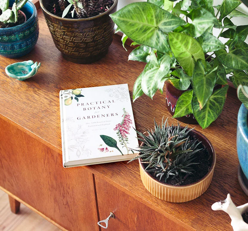 4 must-have plantenboeken.jpg
