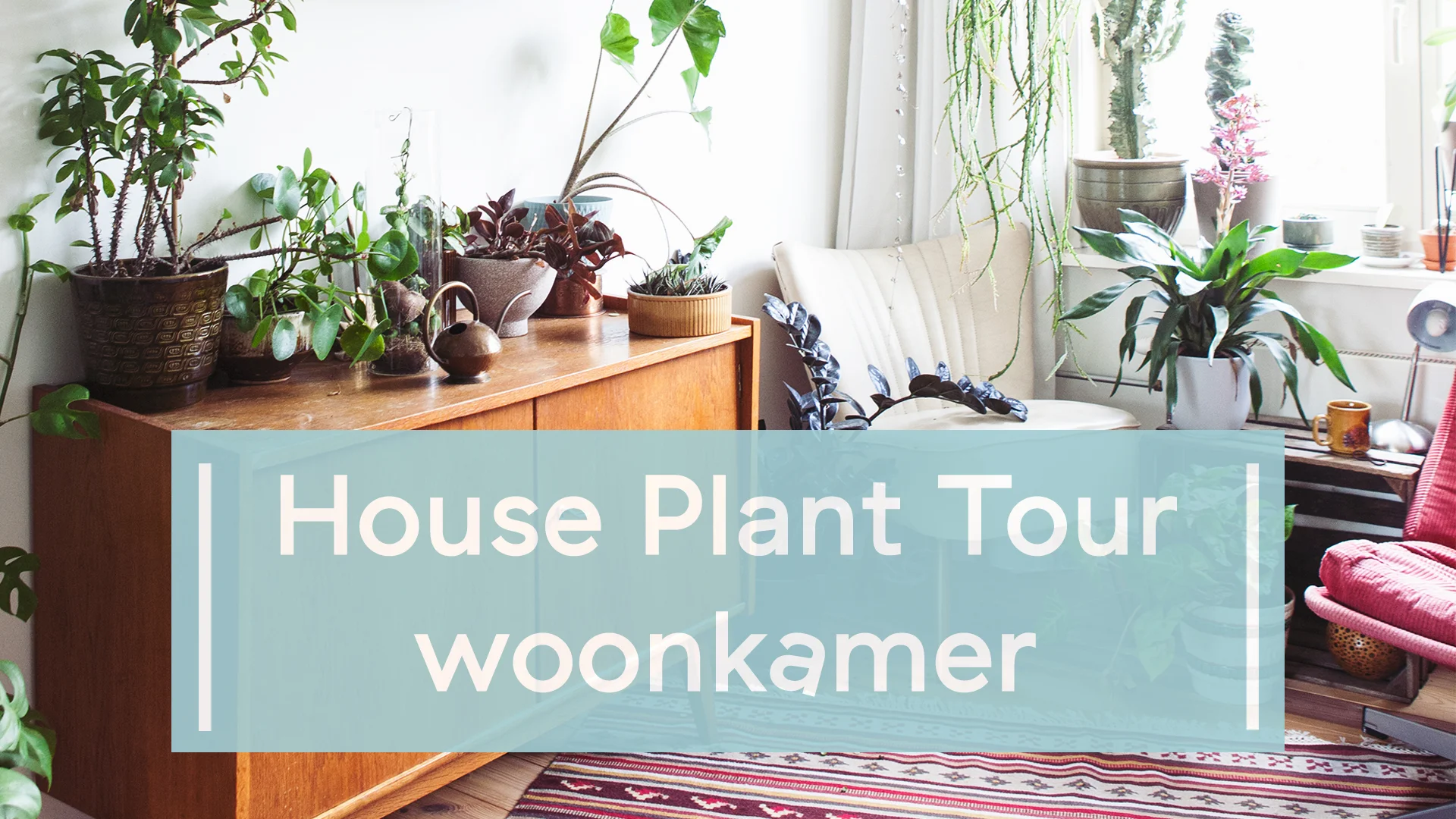 House Plant Tour: Woonkamer 🌿