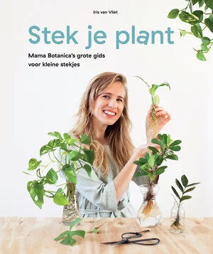 stekjeplant-cover.jpg