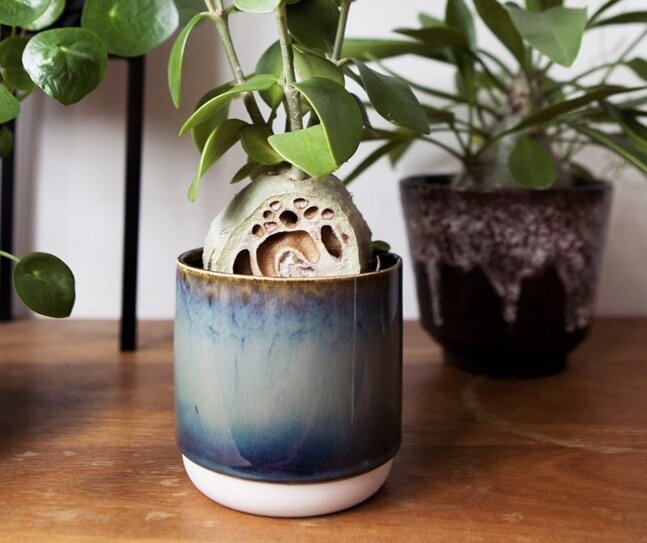 Krachtcel cafe Met andere bands Leuke potten voor je kamerplanten — Mama Botanica