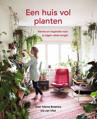 grond Wierook binnen 5 must-have kamerplanten boeken — Mama Botanica