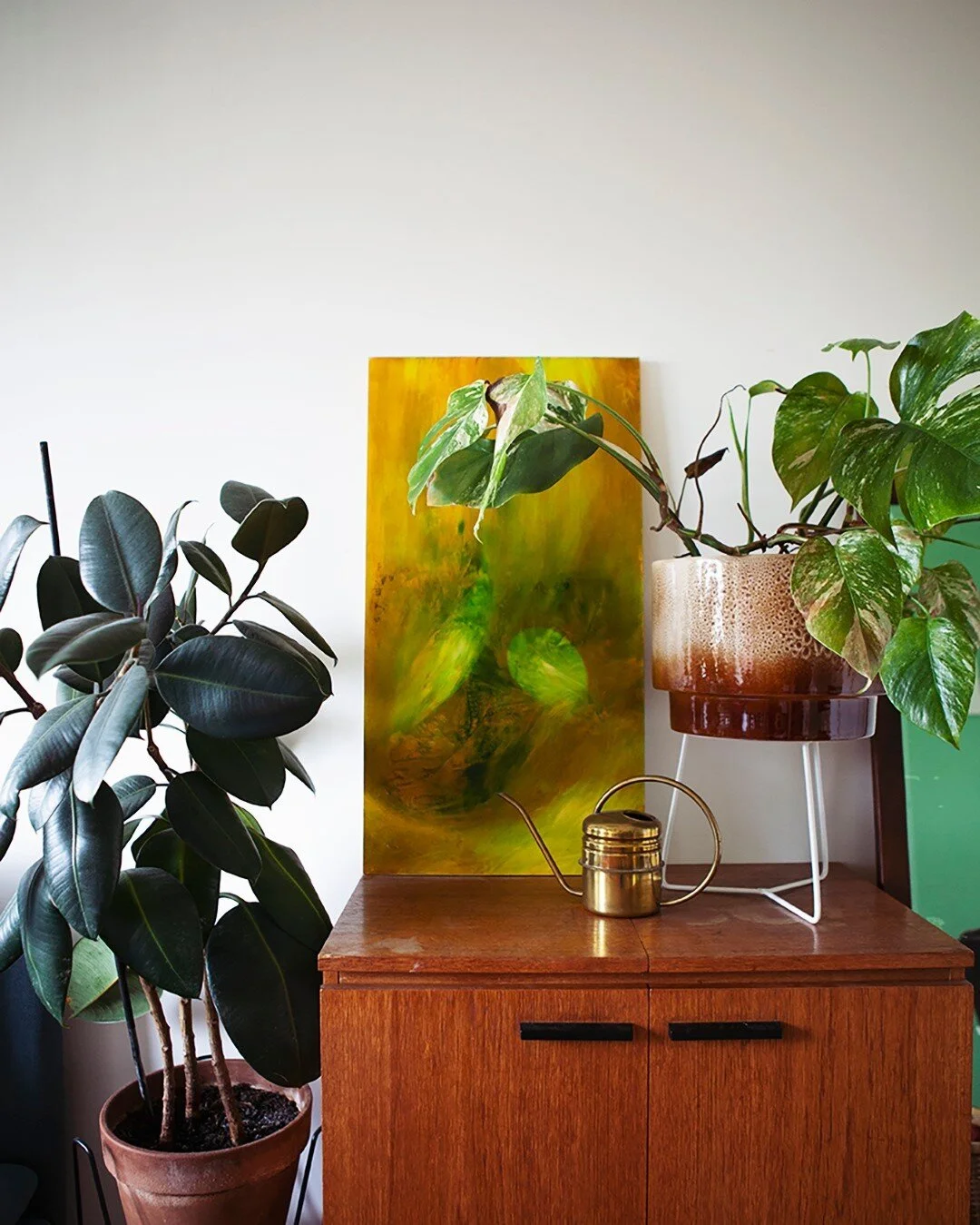 Art by Ellen Groenendijk, Bow's mom, plants by me 😊 That Ficus is with me for a long time already. I've cut it several times, making it grow more branches.
The variegated Monstera is not my happiest plant. There are always thrips on it! 😣 I've g
