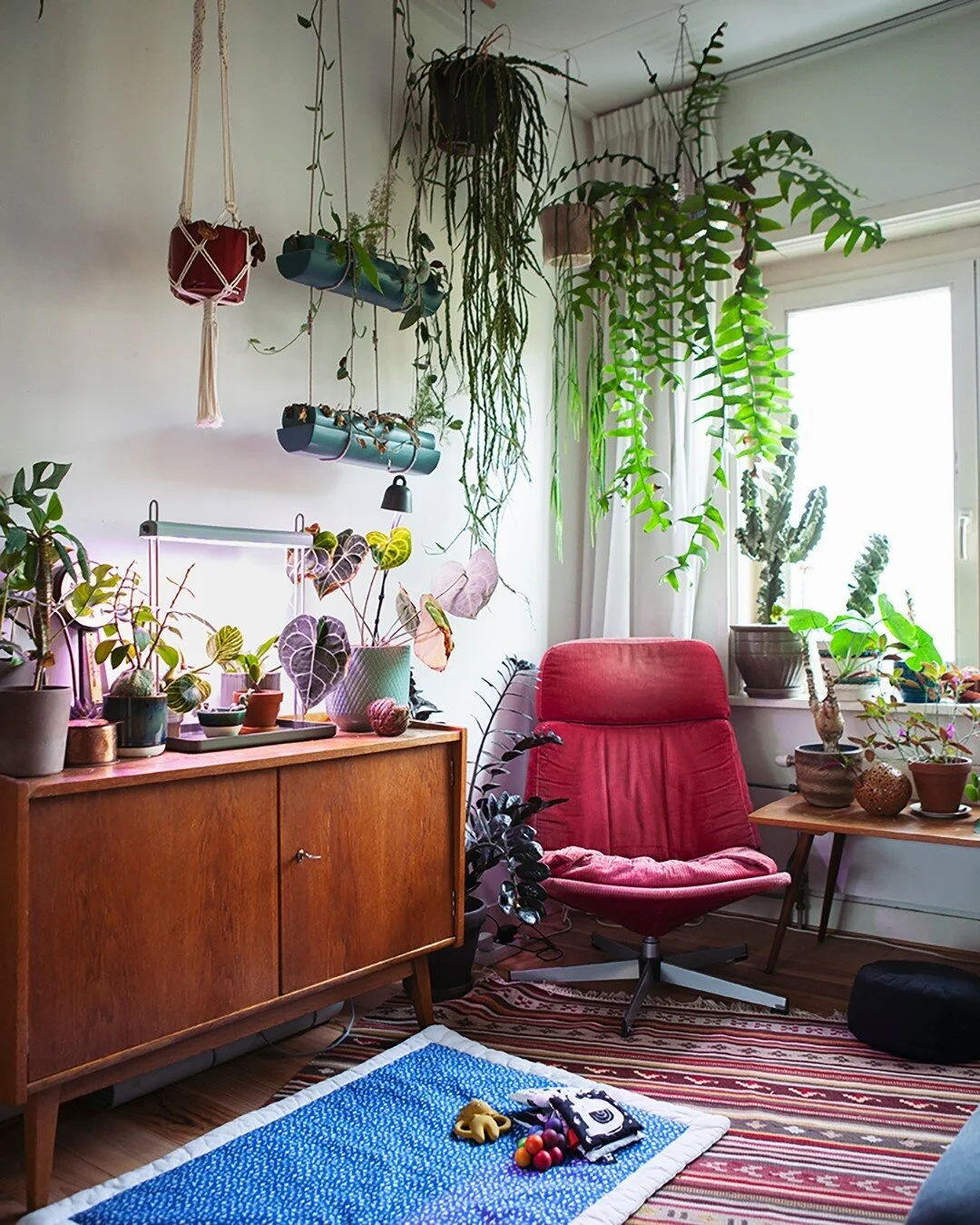 All you need for a cozy corner: a red chair and plants. And then some more plants. 
I gave my Anthurium clarinervium some extra light, hoping it'll grow new beautiful leaves. The result: a flower is growing! I'm not really fond of that, as they co
