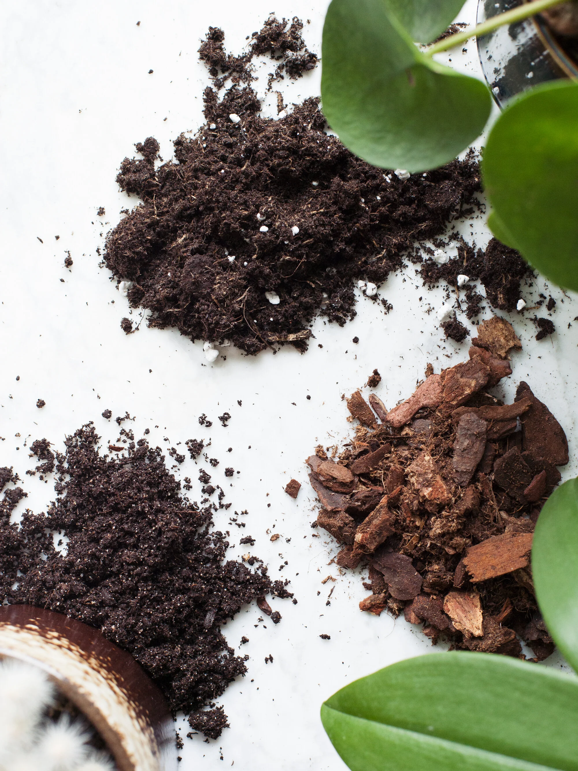 Plantenvraag Wat Moet Ik Weten Over Verschillende Soorten Potgrond Mama Botanica