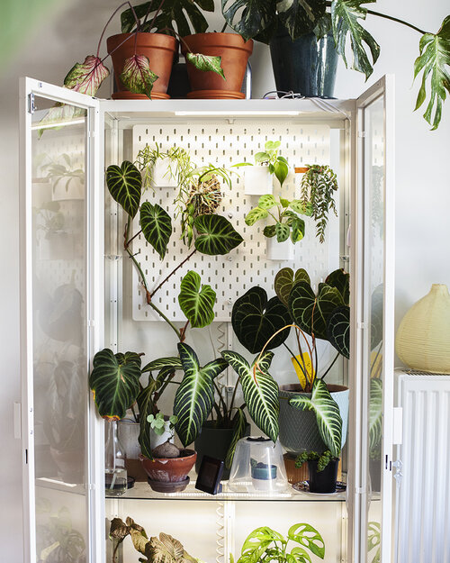 Faial Rond en rond dump Mijn IKEA Greenhouse Cabinet — Mama Botanica
