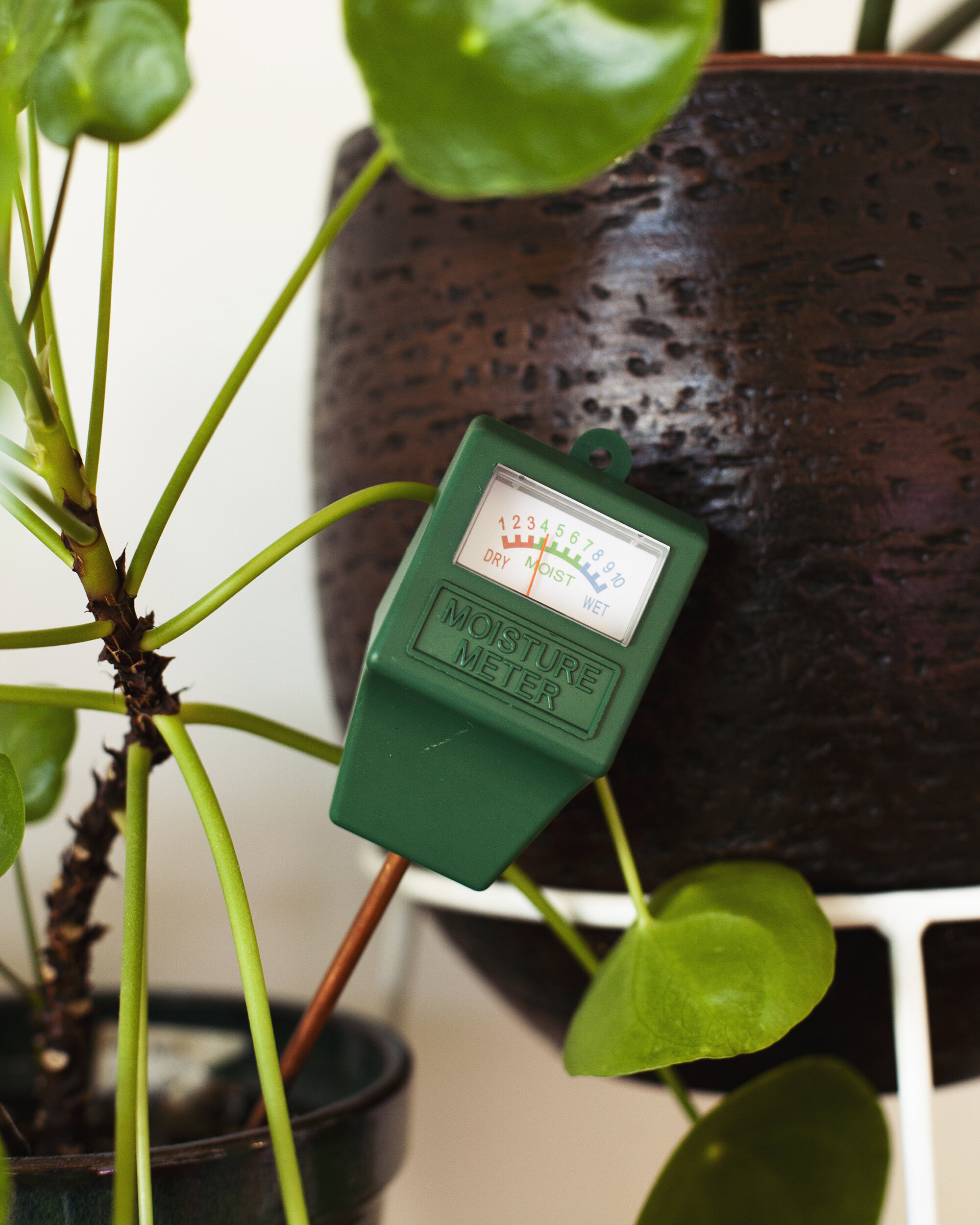 Oprechtheid verlangen Onafhankelijk De zin en onzin van een vochtmeter. Is een watermeter echt handig voor je  plant? — Mama Botanica