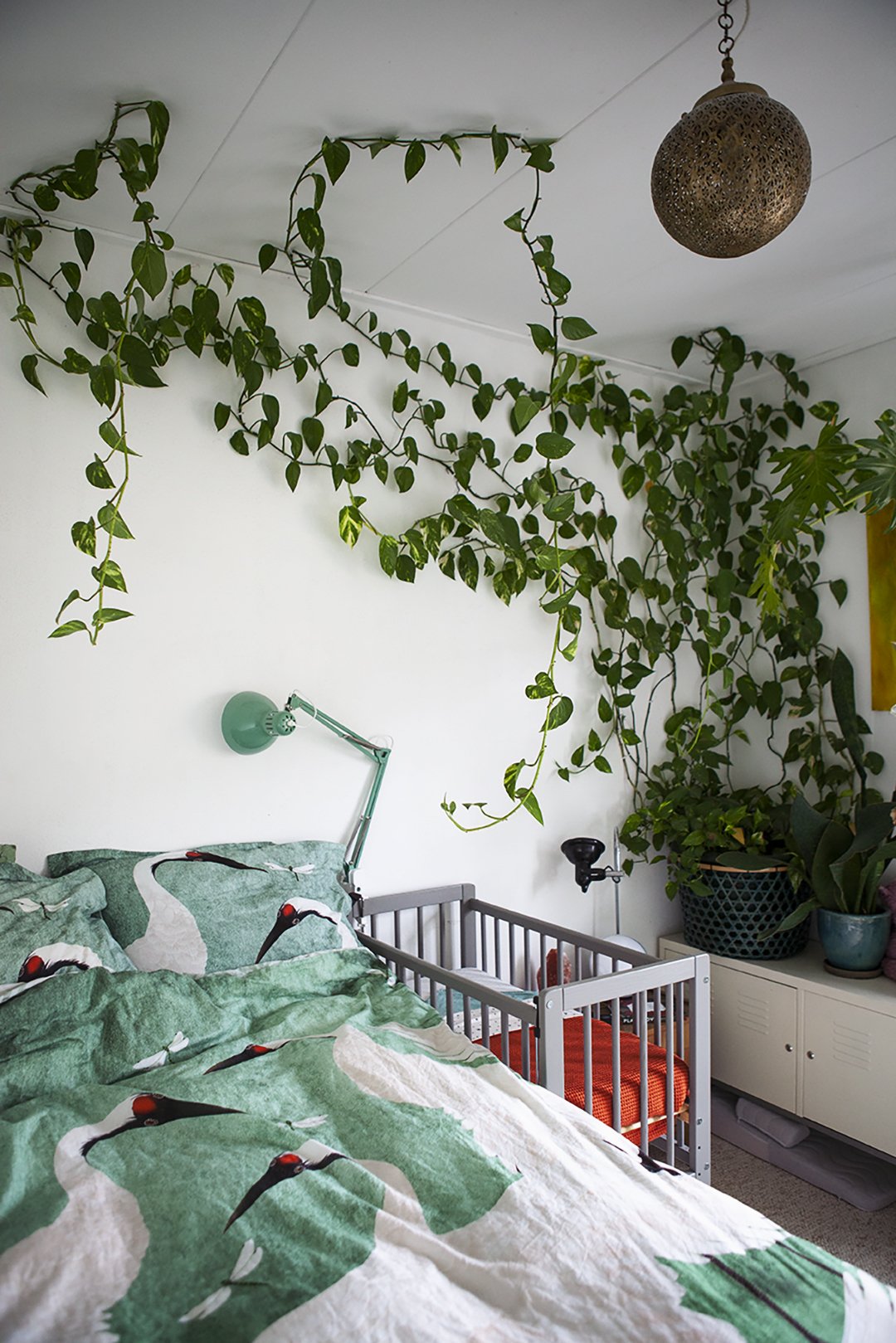 Plantenvraag: Kan het dat mijn plant hangt? — Mama Botanica