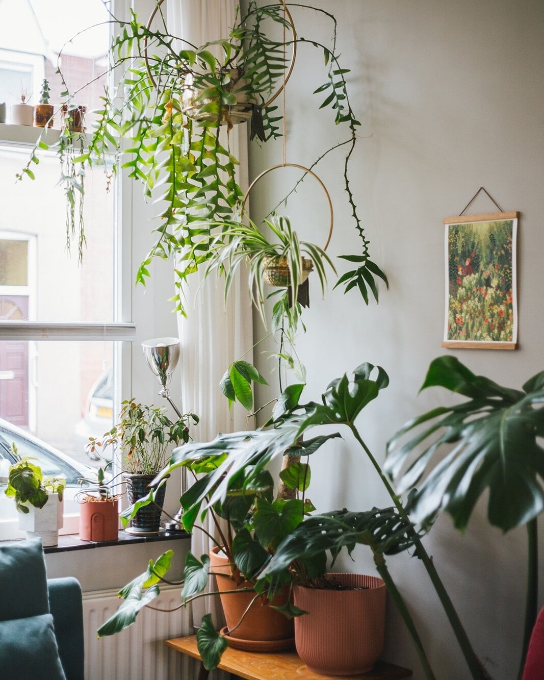 🇬🇧👇 De voordelen van hangplanten: instant jungle gevoel. Je voelt je meteen omringd door planten, zodra ze de hoogte in gaan. Je bespaard ruimte, want het kost geen vloeroppervlakte of plekjes op de kast. Dat maakt hangplanten ideaal om meer groen