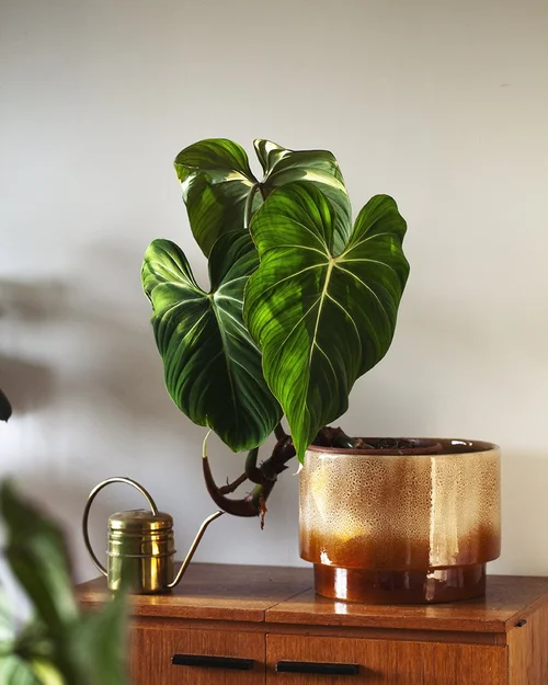 ferm living plant box blue Ferm Living - Plant Box