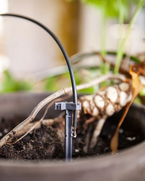 Zaailing Warmtemat, Planten Verwarmingskussen 8.5w Kiemstation Warmtemat Verstelbare Temperatuur Snelle Warme Hydrocultuur Verwarmingskussen voor Zaadkieming Binnen Tuinieren